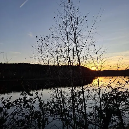 265 Am Zeulenrodaer Tatil Evi Zadelsdorf
