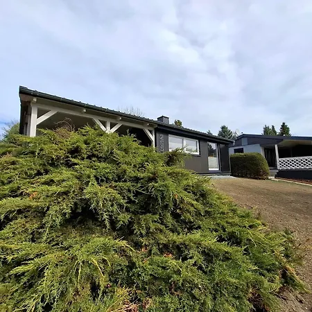 265 Am Zeulenrodaer Zadelsdorf